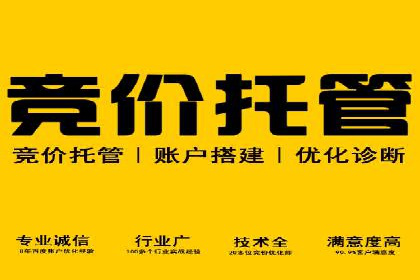 从小白到高手：网站sem托管的进化之路